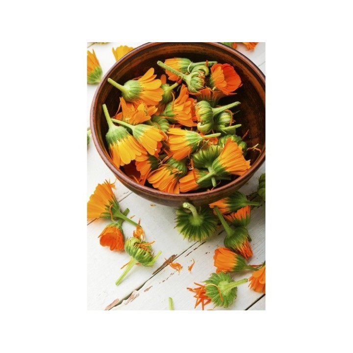 Καλέντουλα Πέταλα Σκόνη – Βιολογικό