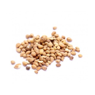 Μαχλέπι – Ολόκληρο